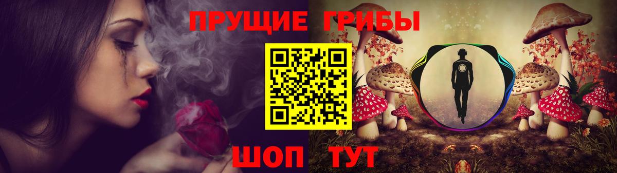 Волжск  Галлюциногенные грибы Cubensis  Вход с VPN  Галлюциногенные грибы Psilocybine cubensis 